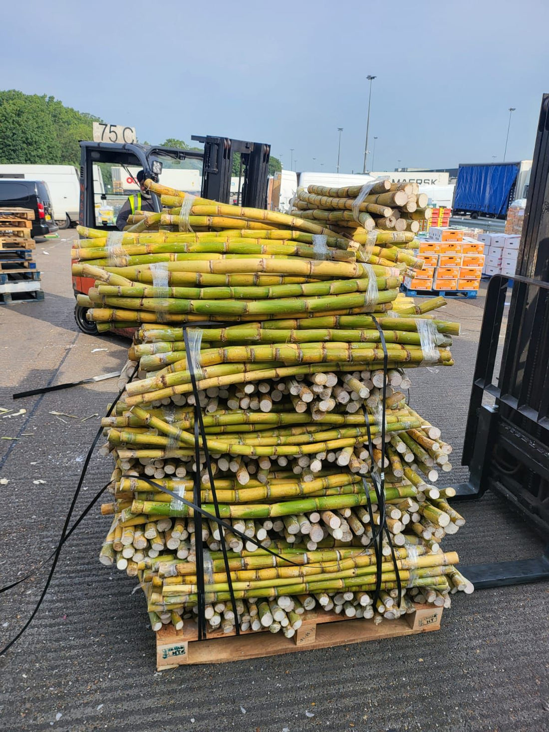 Fast Sugarcane Juice Delivery London | City Juice